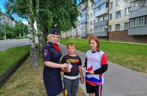 Шаховская среда