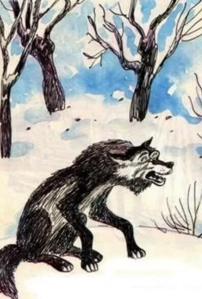Сказочное волчье брюхо. Старик и волк сказка. Старик и волк абазинская сказка. Волк сказочный. Старик и волк.