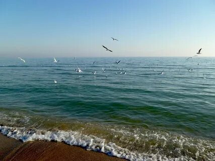 Одесса песня море