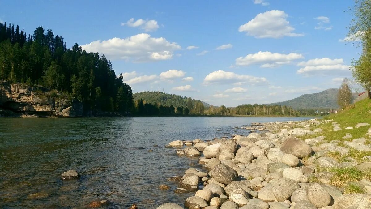 Село турочак республика алтай. Турочак республика алтай. Турочакский районный республики алтай. Река лебедь турочак. Река лебедь республика алтай.