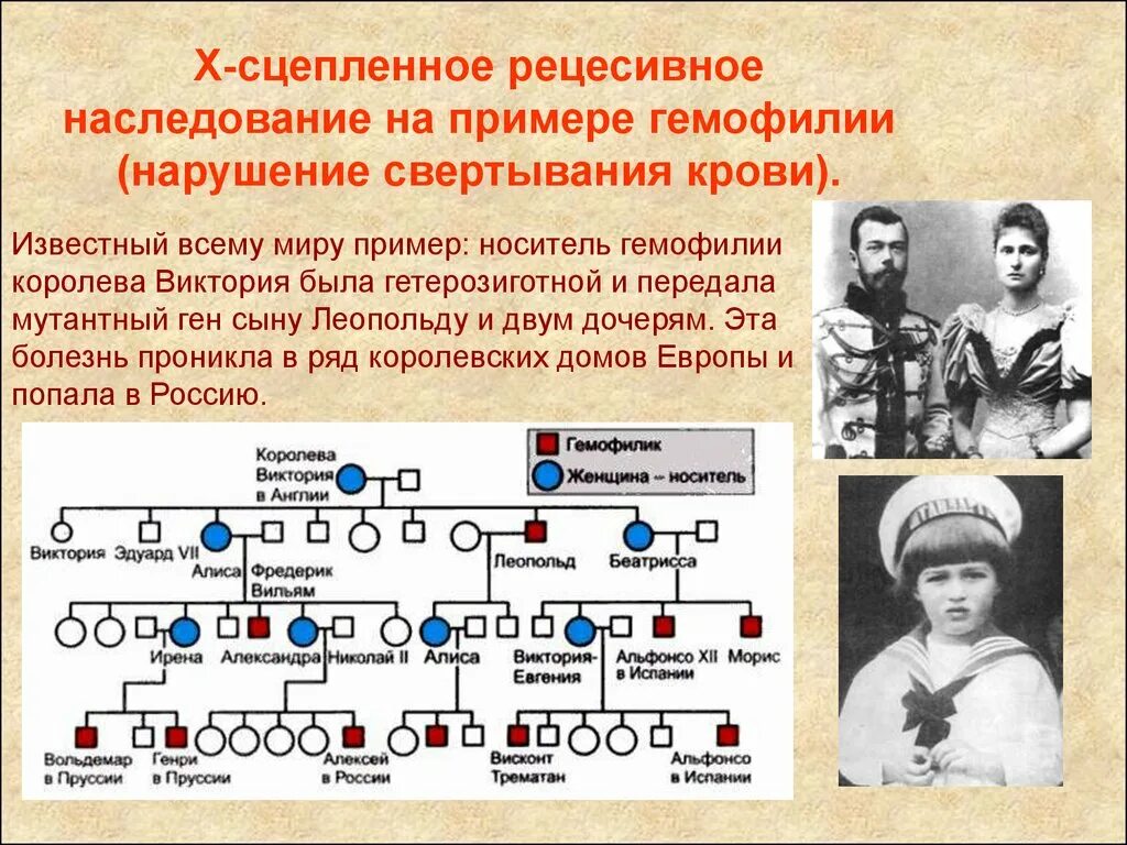 Заболевания сцепленные с y хромосомой. Сцепленное наследование признаков примеры. Родословная семьи королевы Виктории наследование гемофилии. Наследование сцепленное с х хромосомой. Наследование сцепленное с полом у человека гемофилия.