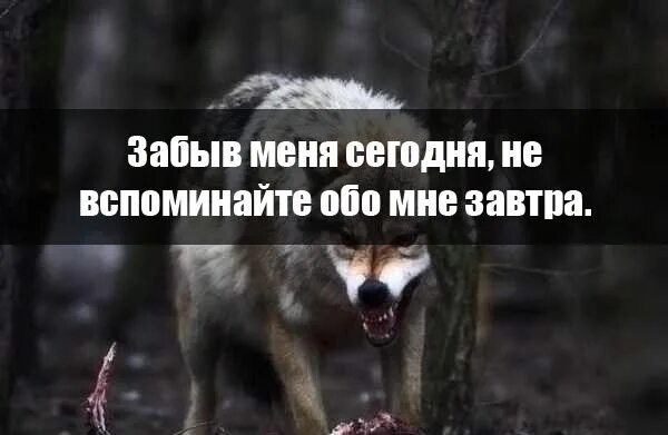 Ты сомною забудь обо всем. Забыв меня сегодня не вспоминайте обо мне завтра. забыв обо мне сегодня не вспоминайте обо мне завтра. забыв меня сегодня не вспоминайте. забыв меня сегодня.
