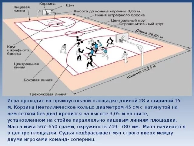 Какое количество игроков на баскетбольной площадке