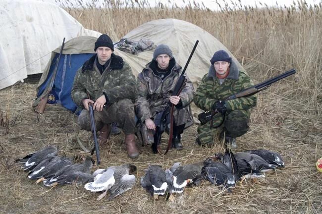 Погода п светлый светлинский. Поселок светлый Оренбургская область. Светлый Оренбургская область Светлинский район. Охота в Светлом Оренбургской области. Охота на гуся Светлинский район Оренбургская область.