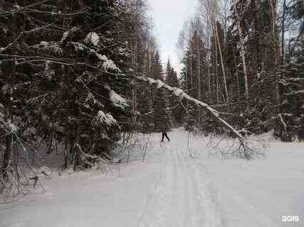 Славянские ижевск