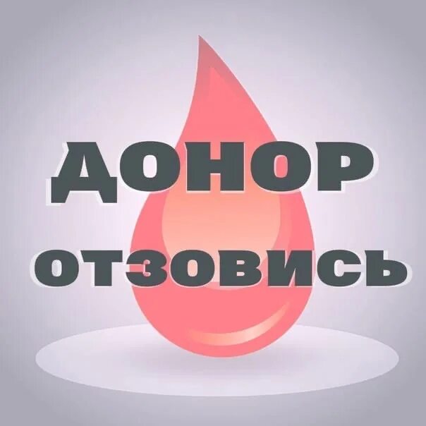 Нужен донор. Нужен донор коту. Срочно нужен донор. Срочно нужен донор коту.