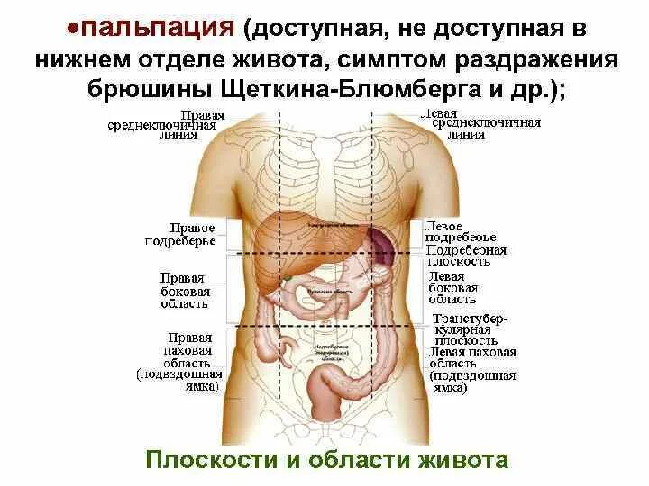 Справа от пупка что находится у мужчин