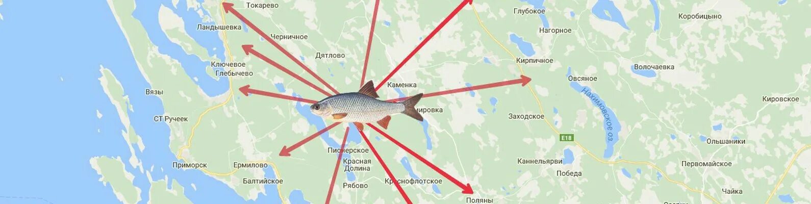 Автобус глебычево выборг. Ландышевка выборгский район на карте. ландышевка ленинградская область на карте. ландышевка выборгский залив. карта глубин выборгского залива.