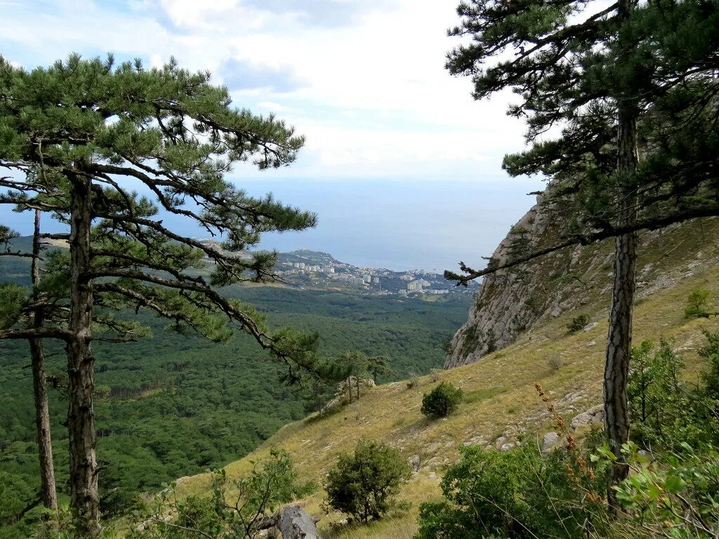 Крым потрачено. Кореизская тропа Крым. Кореизская (Мисхорская) тропа. Мисхорская тропа Крым. Кореизская тропа на ай-Петри.