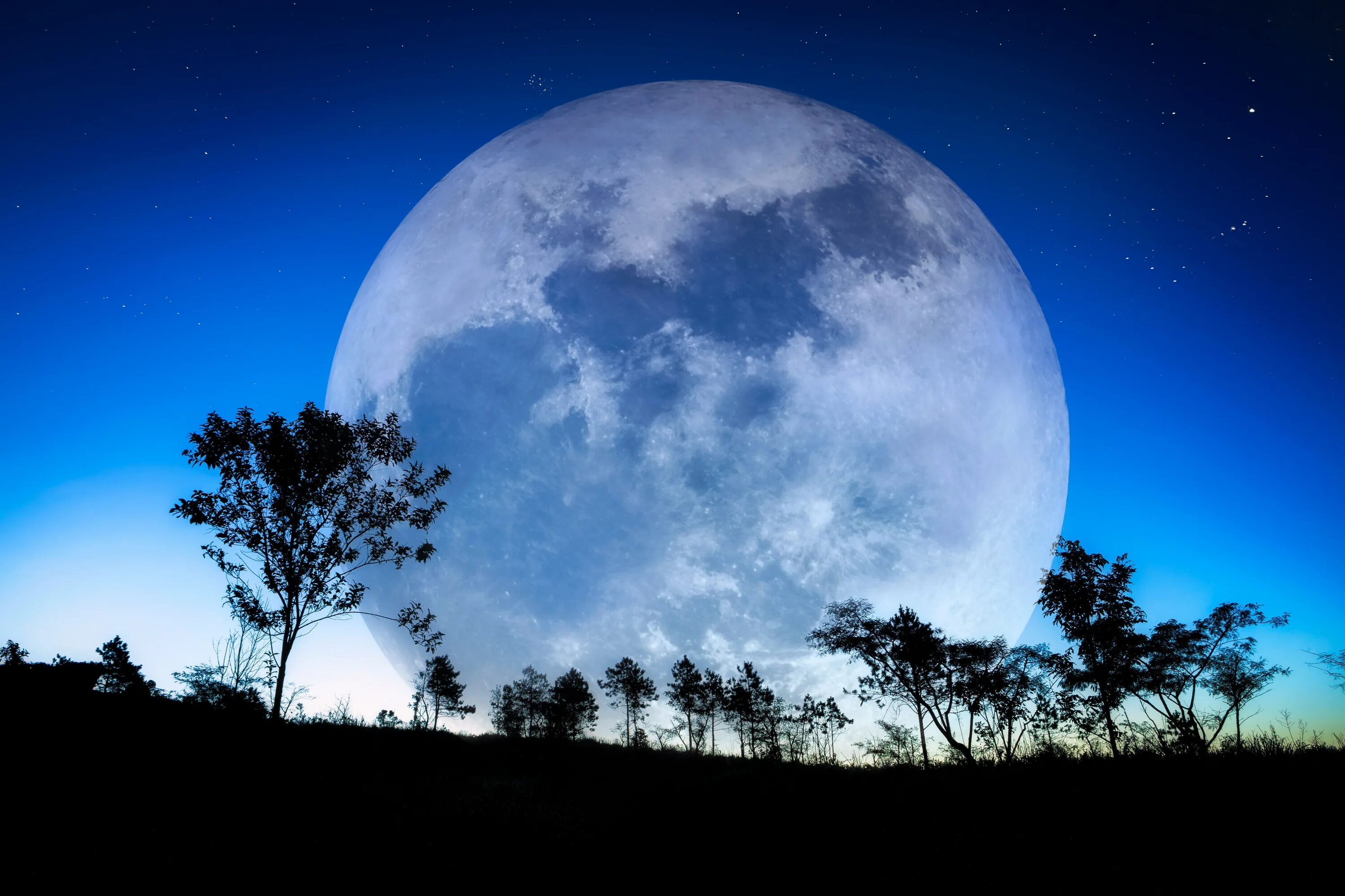 Картинки moon. Огромная Луна. Красивая Луна. Полнолуние. Большая Луна на небе.