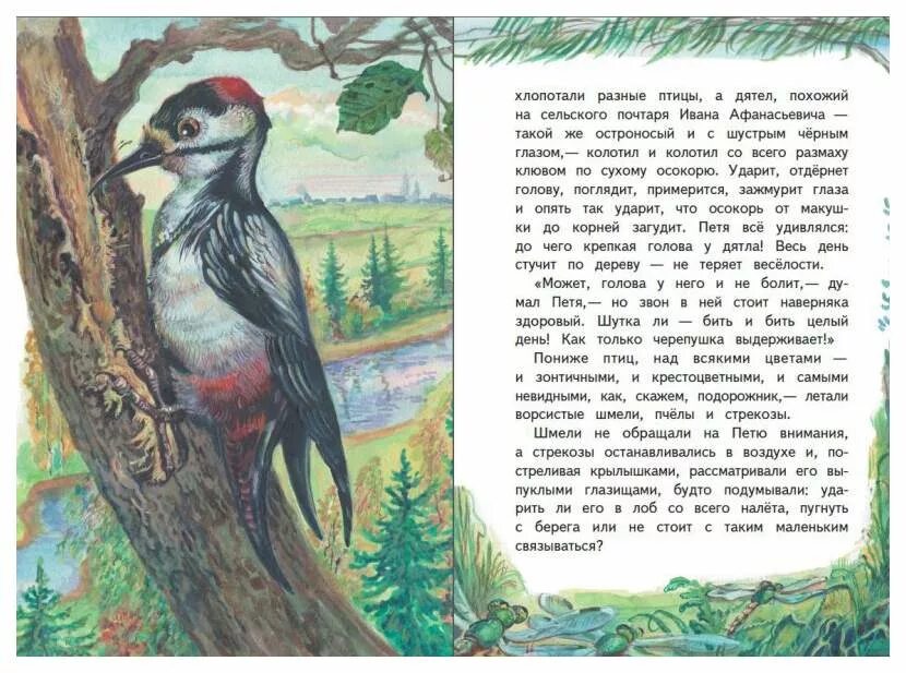 Рассказ паустовского медведь. Паустовский дремучий лес. Сказка Паустовского дремучий медведь. Паустовский дремучий лес произведение.