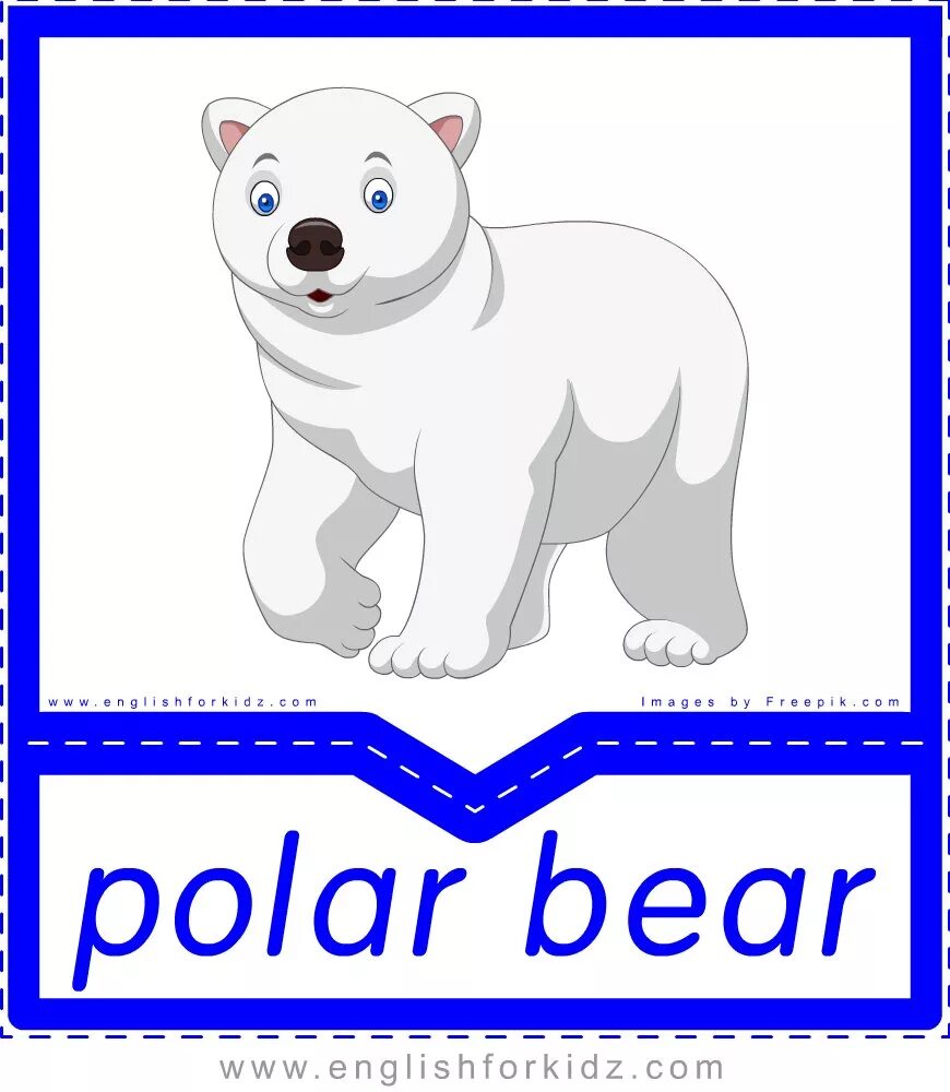Bear bore borne транскрипции. Polar bear flashcards. polar bear flashcards for kids. белый медведь карточка для детей. полар беар (polar bear).