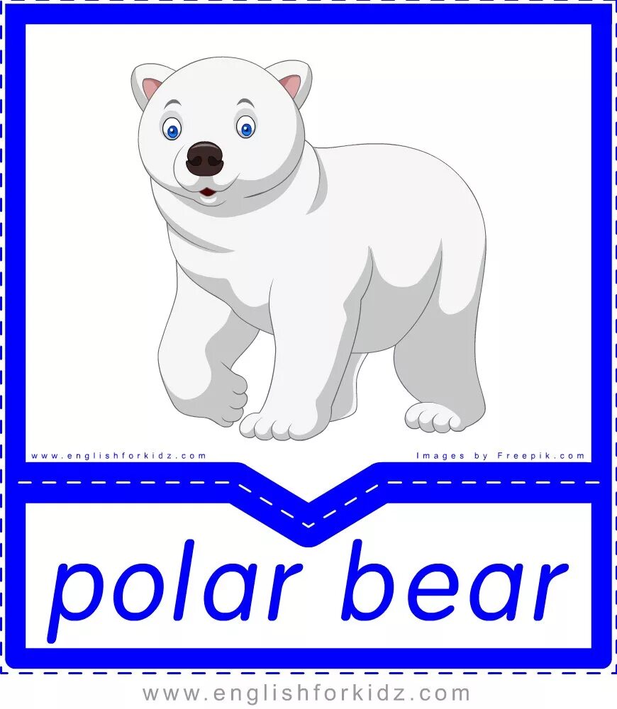 Bear транскрипция английский. Polar Bear Flashcards. Polar Bear Flashcards for Kids. Белый медведь карточка для детей. Полар Беар (Polar Bear).