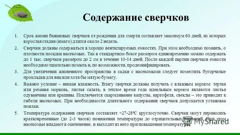 Причины образования государственного долга. Стадии развития отношений. Содержание долгий. Содержание долгий. Долговая политика государства.