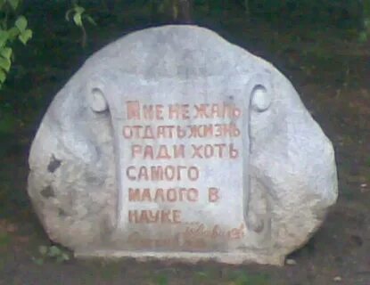 Жизнь ради самой жизни