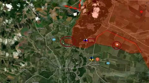 Бои за синьковку 2023