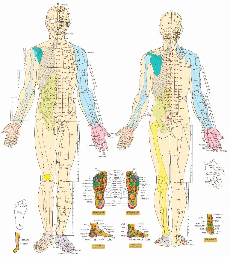 Названия точек человека. Акупунктурные точки на теле человека китайская медицина. Меридианы на теле человека схема китайская медицина. Акупунктура меридианы тела человека. Акупунктурные точки и меридианы на теле человека.