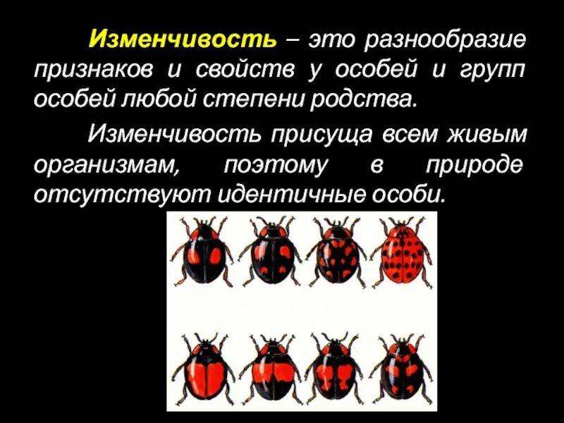 Изменчивость. Изменчивость признаков организма и ее типы. Виды изменчивости организмов. Признаки изменчивости. Существует наследственная изменчивость