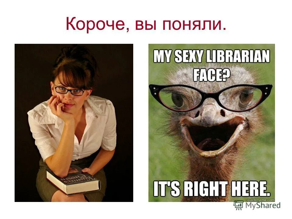 коротко обо мне мемы. гопники семечки. короче я понял. коротко обо мне. я такой какой есть.