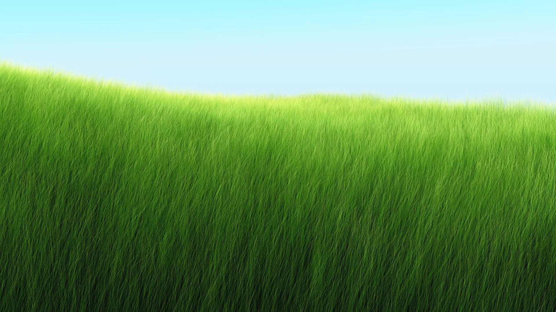 Grass desktop code