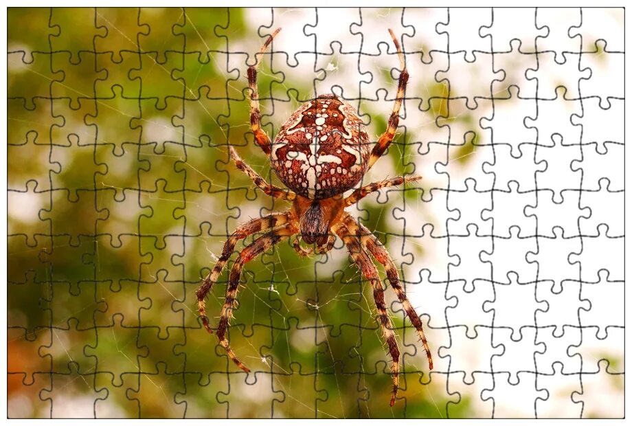 Пазлы пауки. Картинка пазлы человек паук 360 пазлов. Человек-паук пазл. Мозаика "puzzle" 260 "человек-паук (new 1)" (marvel) 95144 /степ пазл. Человек паук паззлы.