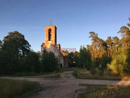 Погода победит 1
