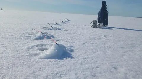 Горка на финского залива 2024 ледяная берегу