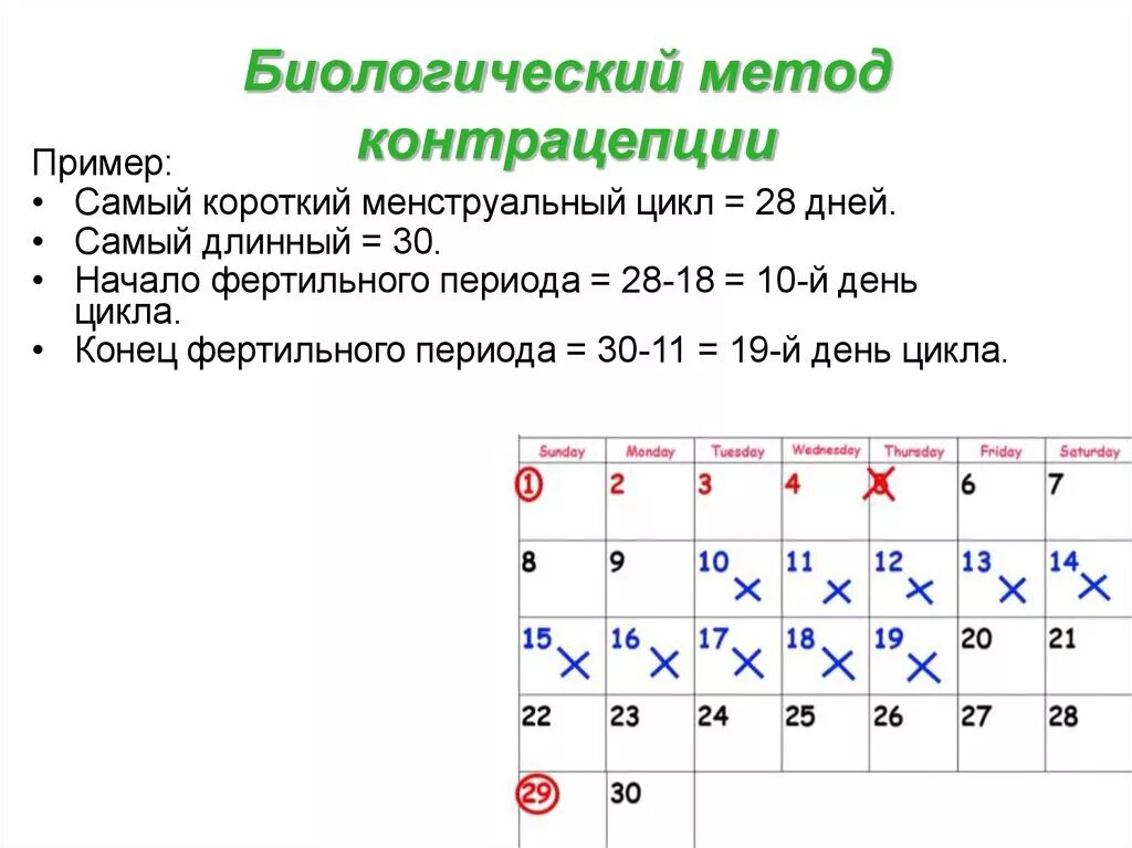 Когда месячные начинаются даты. Как посчитать день цикла. Как рассчитать день цикла месячных. Методы контрацепции календарный. Календарный способ предохранения.