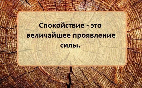 Спокойствие демотиватор. Спокойствие великая сила. Сила спокойствия. Спокойствие величайший проявленный силы. Спокойствие величайший проявленный силы.