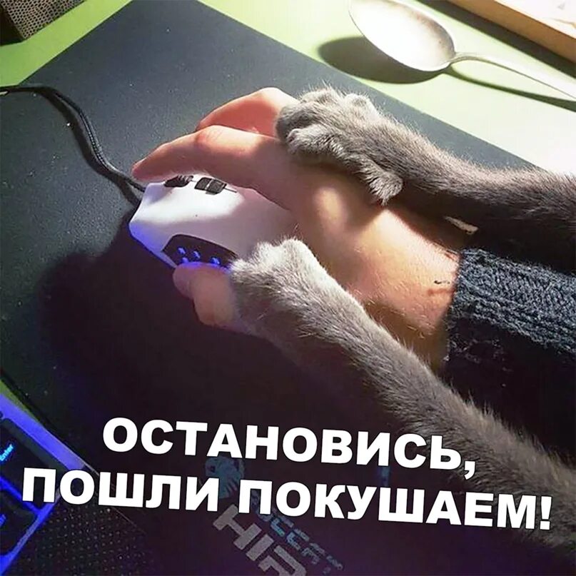 Пойду поем стикер. Мемы пойду поем. Пойду пожру мем. Открытки пошли пожрем. Пошли пожрем кот.