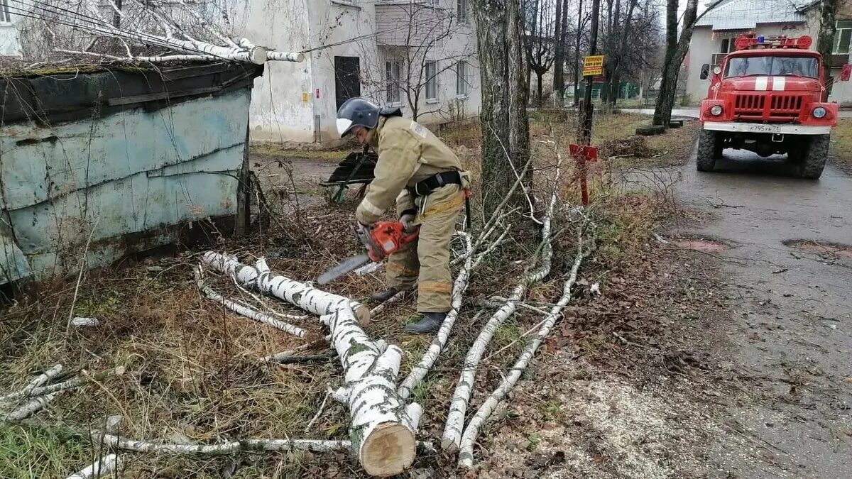 Ураган в Тульской области. Ураган в Ростовской области. Дерево упало в Щекино 2021 год Тульская область. Устранение последствий урагана.