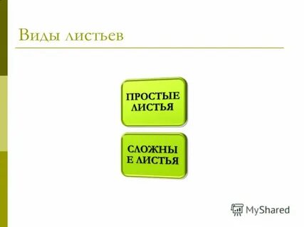 Сообщить одинаково