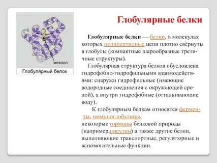 Гидрофобные радикалы повернуты внутрь глобулы