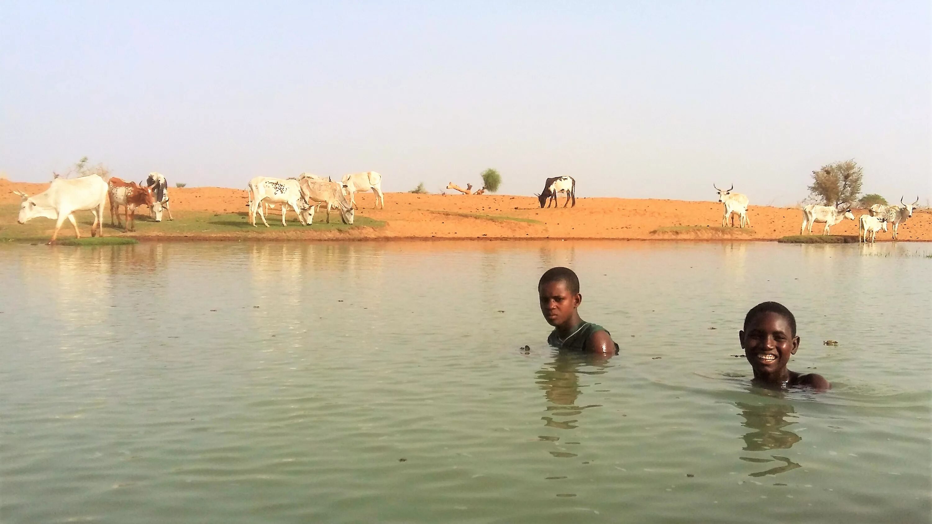 Реки нигерии. Река нигер в нигерии. Исток реки нигер. Дельта реки нигер, нигерия. Реки нигерии.