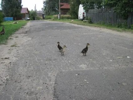 Село оказывается