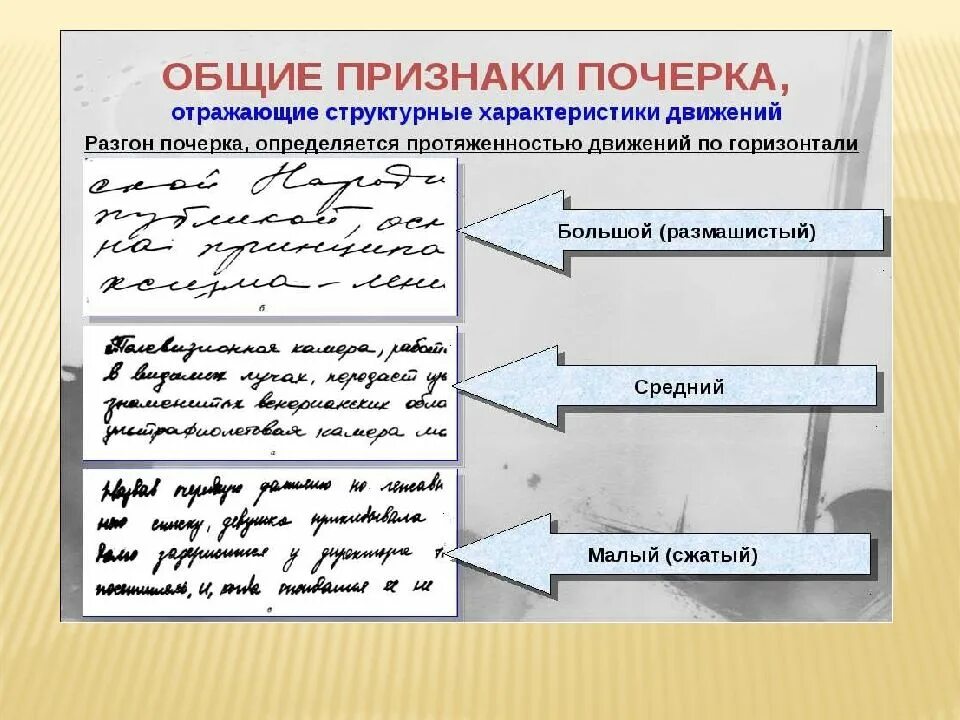 ОБЩТН признапт почеркп. Разгон почерка. Лбщщре признаки пояерка. Общие признаки Подчека. Система почерка