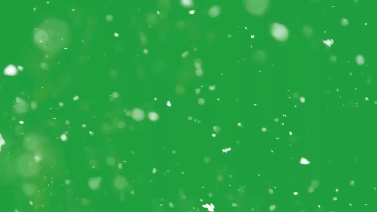 Snow green. Заснеженная трава. Обои на рабочий стол широкоформатные зима. Зимние цветы. Растения под снегом.