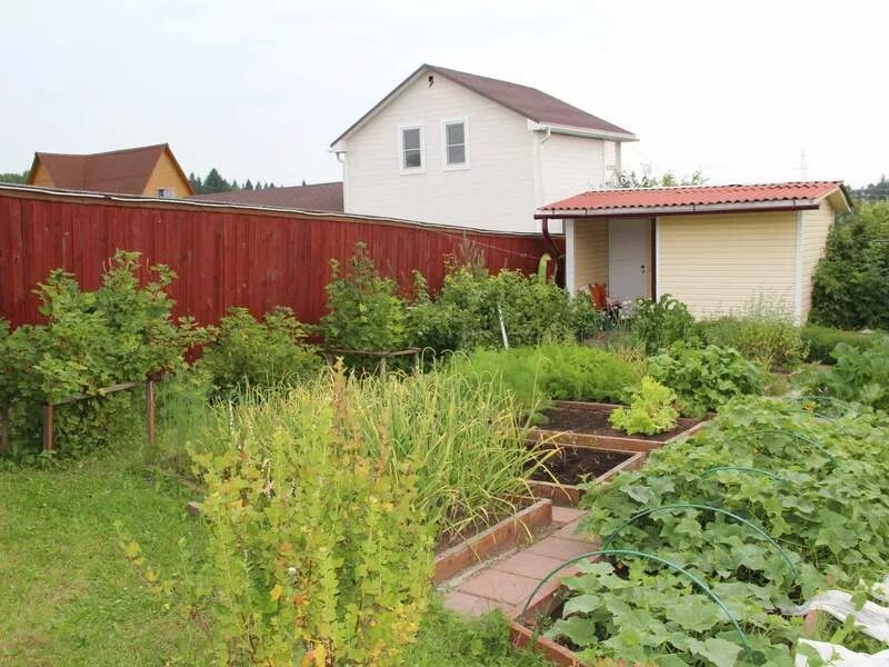 сайт снт 50 лет