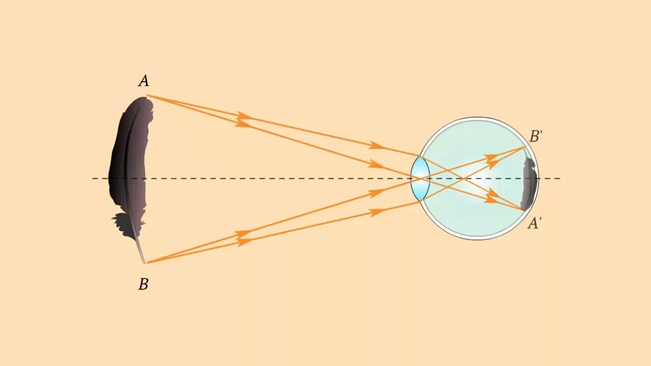 Ход лучей в оптической системе глаза. Оптическая система глаза физика. Преломление лучей в оптической системе глаза. Ход лучей в глазу физика оптика. Прохождение луча света в глазном
