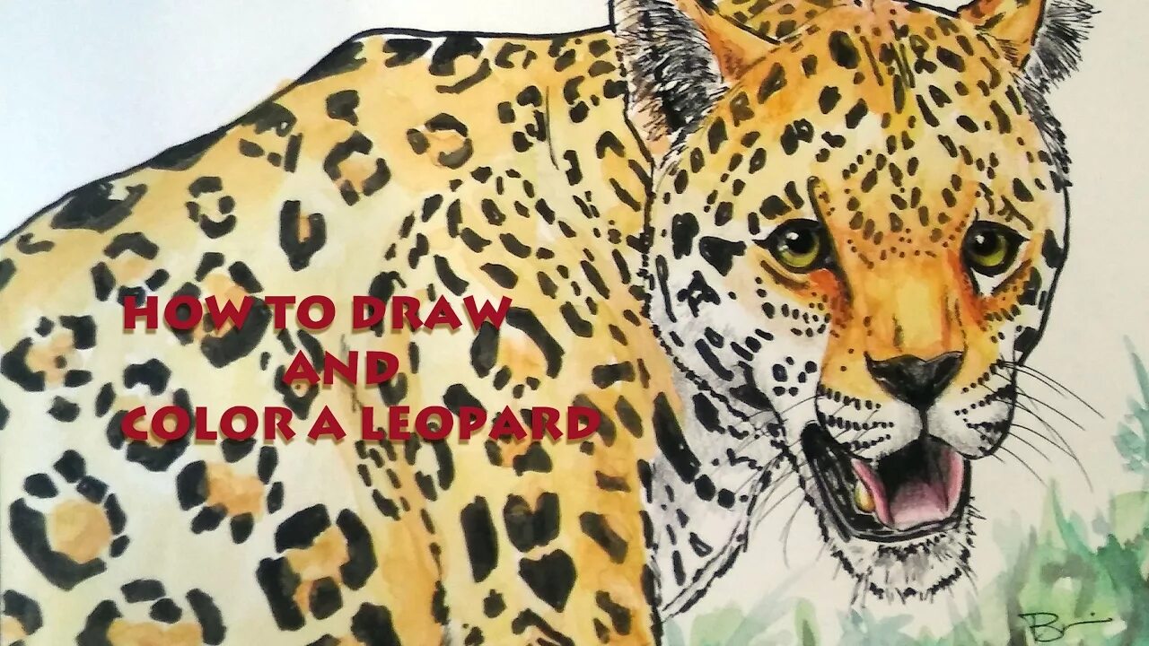 Леопардовый рисунок. Леопард красками детская. рисунок на волосах леопард. леопард рисунок в полный рост. леопард в профиль.