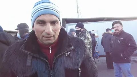 Выставка голубей в туле 2024 году
