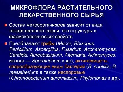 Видовой состав микрофлоры