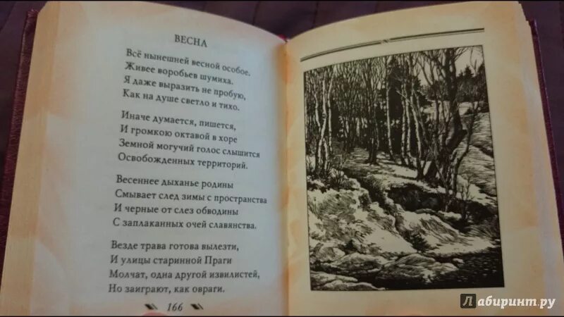 Стихотворение про весну пастернак. Пастернак стихи о весне.