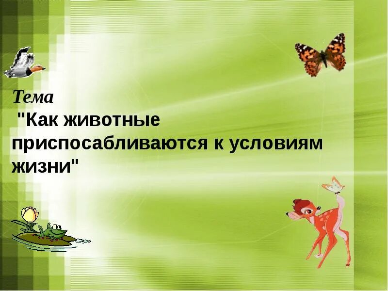 Презентация как животные приспосабливаются к условиям жизни. Приспособления растений и животных к условиям. Приспособленность к среде. Животным свойственно приспосабливаться к окружающей среде. Приспособления животных в пустынях.
