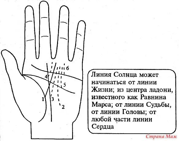 Хиромантия линия солнца. От линии сердца к безымянному пальцу. Хиромантия линия солнца. Линия солнца на руке. Линия к безымянному пальцу на руке.