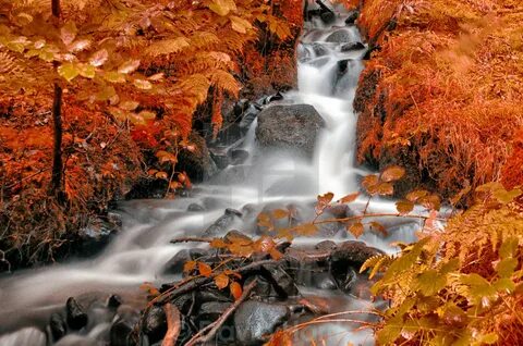 Autumn falls