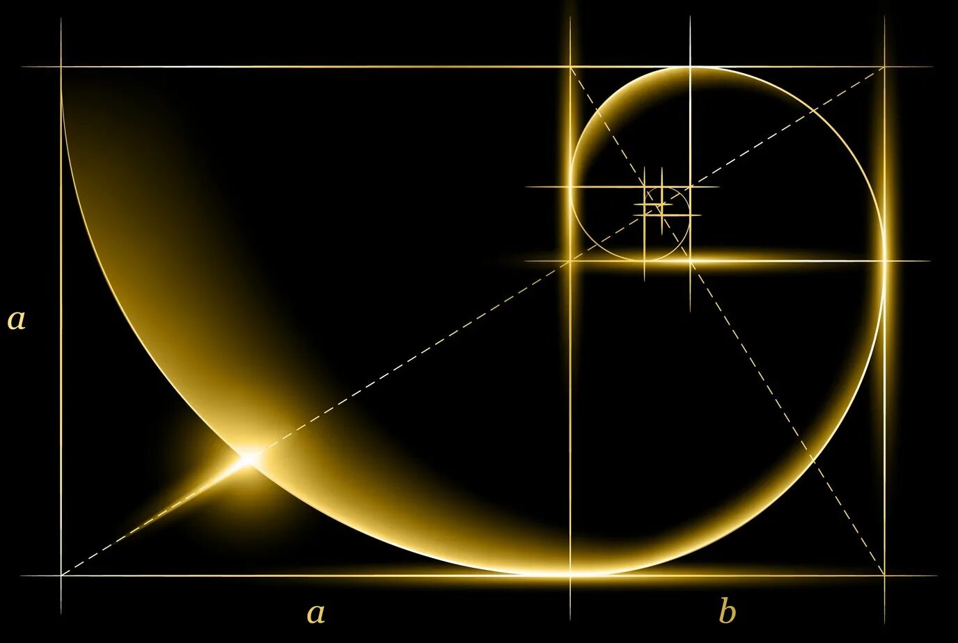 Золотое сечение рентгенодиагностические центры. 1.618 Золотое сечение. Золотое сечение Фибоначчи. Спираль Фибоначчи золотое сечение. Золотая спираль Фибоначчи.