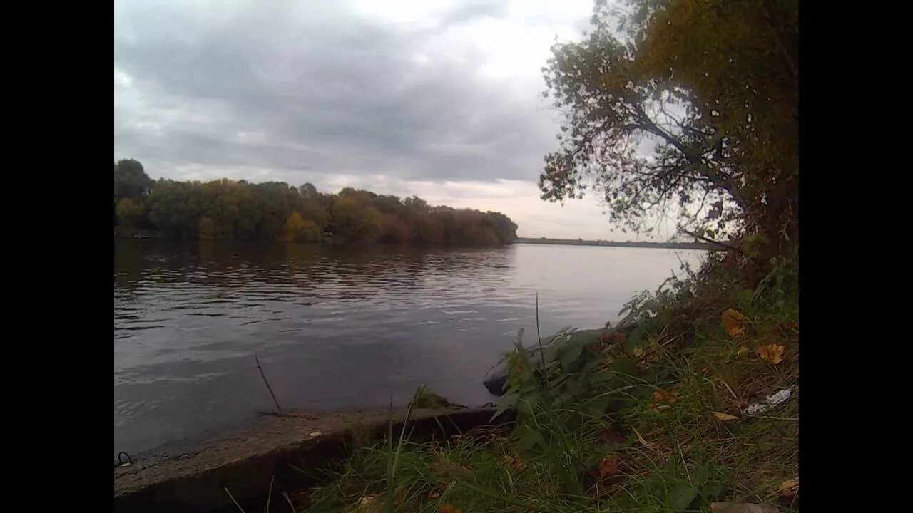 Рыба в москве реке. Рыбалка на москва реке места. Окунь москва река. Рыбалка на москва реке места. Рыбалка на москве реке.