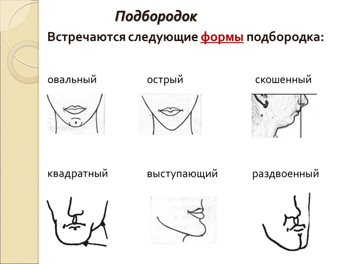 Какой может быть подбородок. Скошенный подбородок криминалистика. типы подбородков у женщин. формы подбородка женщин. формы подбородка у мужчин.