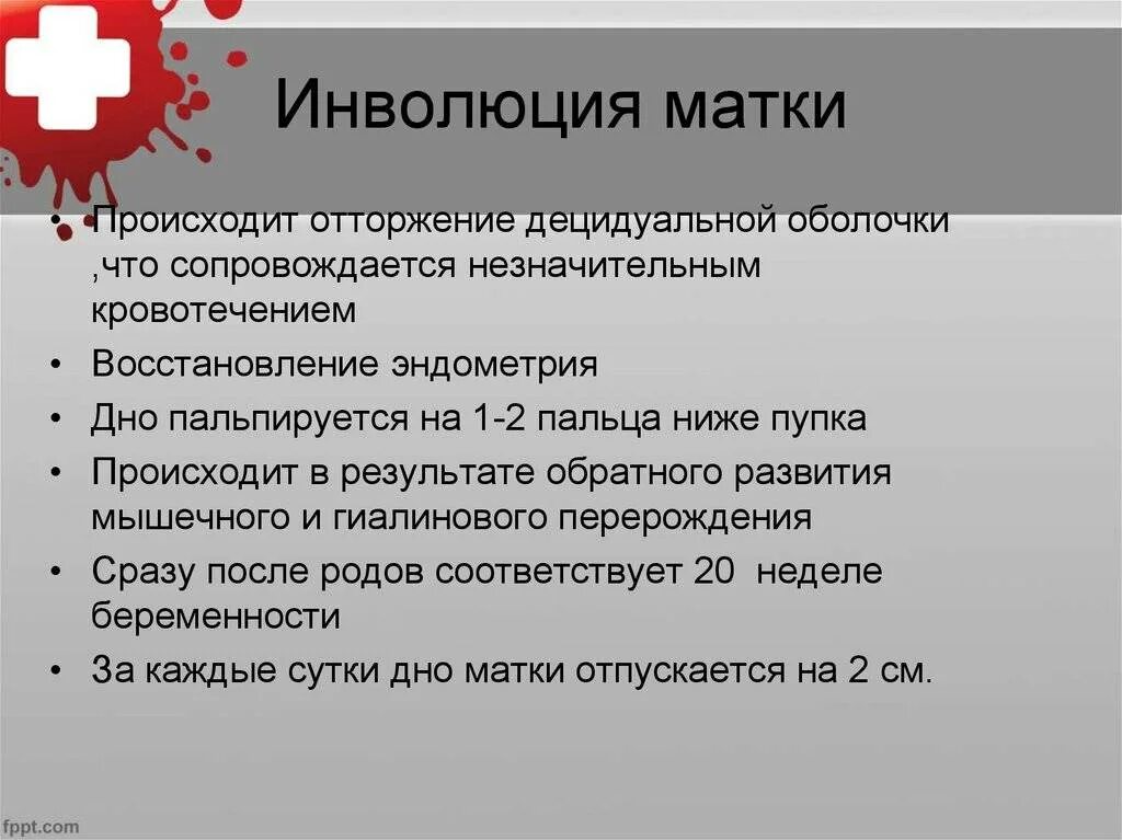 Инволютивные изменения яичников что это. Признаки инволюции матки. Инволюция матки в послеродовом периоде. Этапы инволюции матки после родов. Послеродовая инволюция матки Продолжительность.